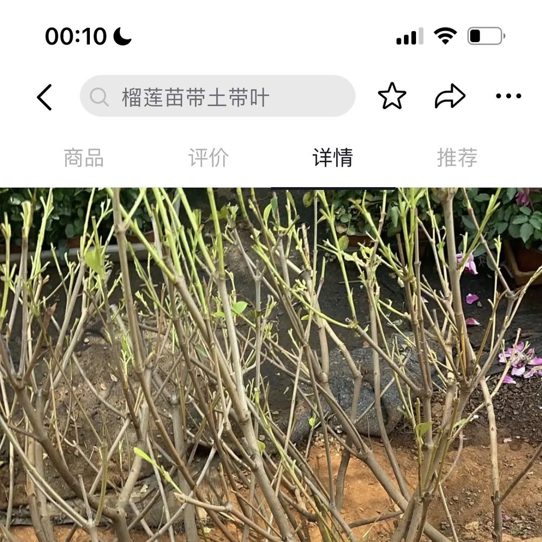 频岗农业科技发展