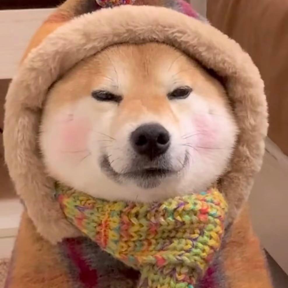 阿门阿前一颗葡萄树