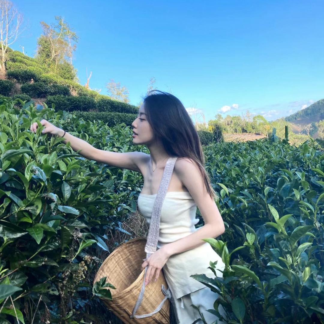 小龙女茶馆🇨🇳