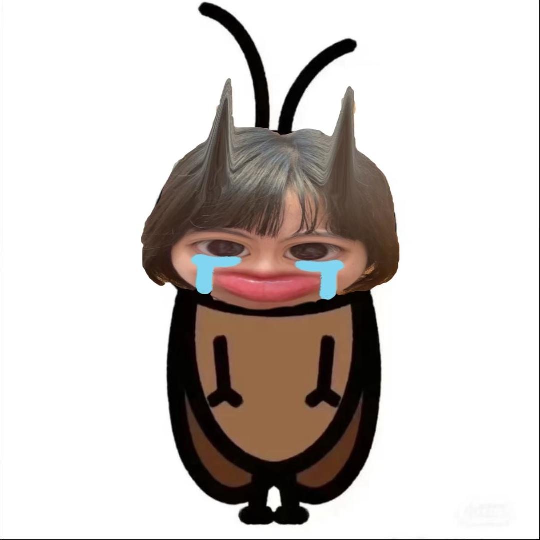 Qiiiqi