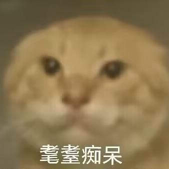 借口