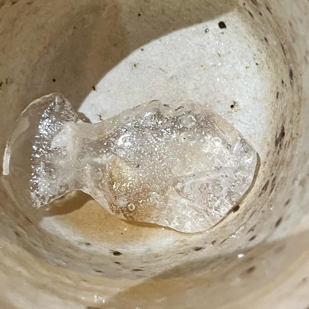 杯里有小鱼