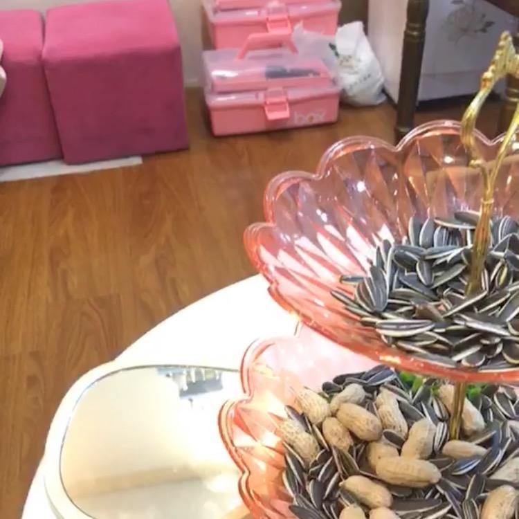 涯系客家人