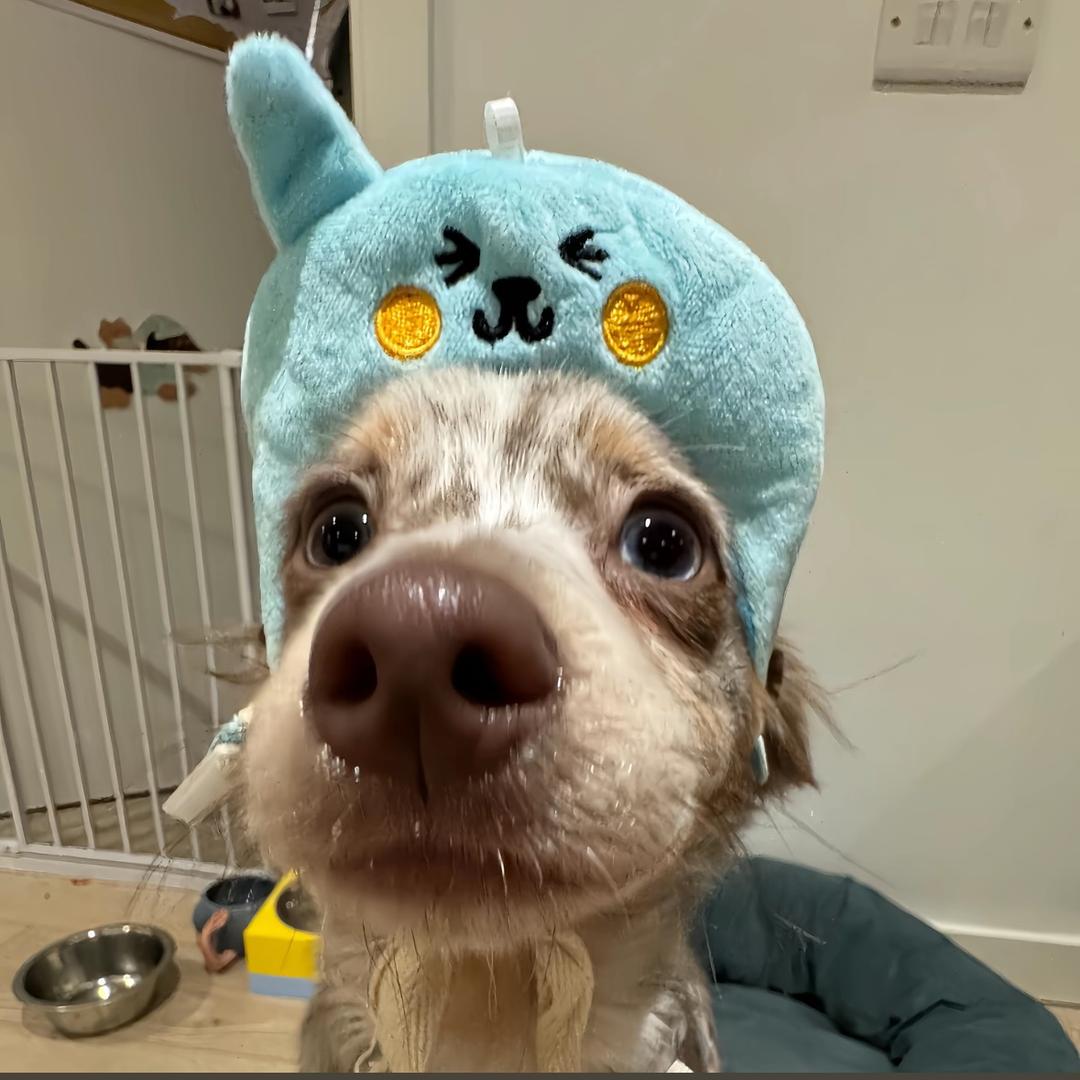 Lllzl-