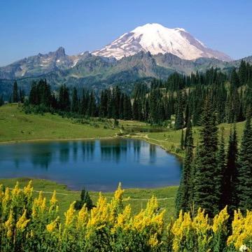 四川璟辰商贸有限公司