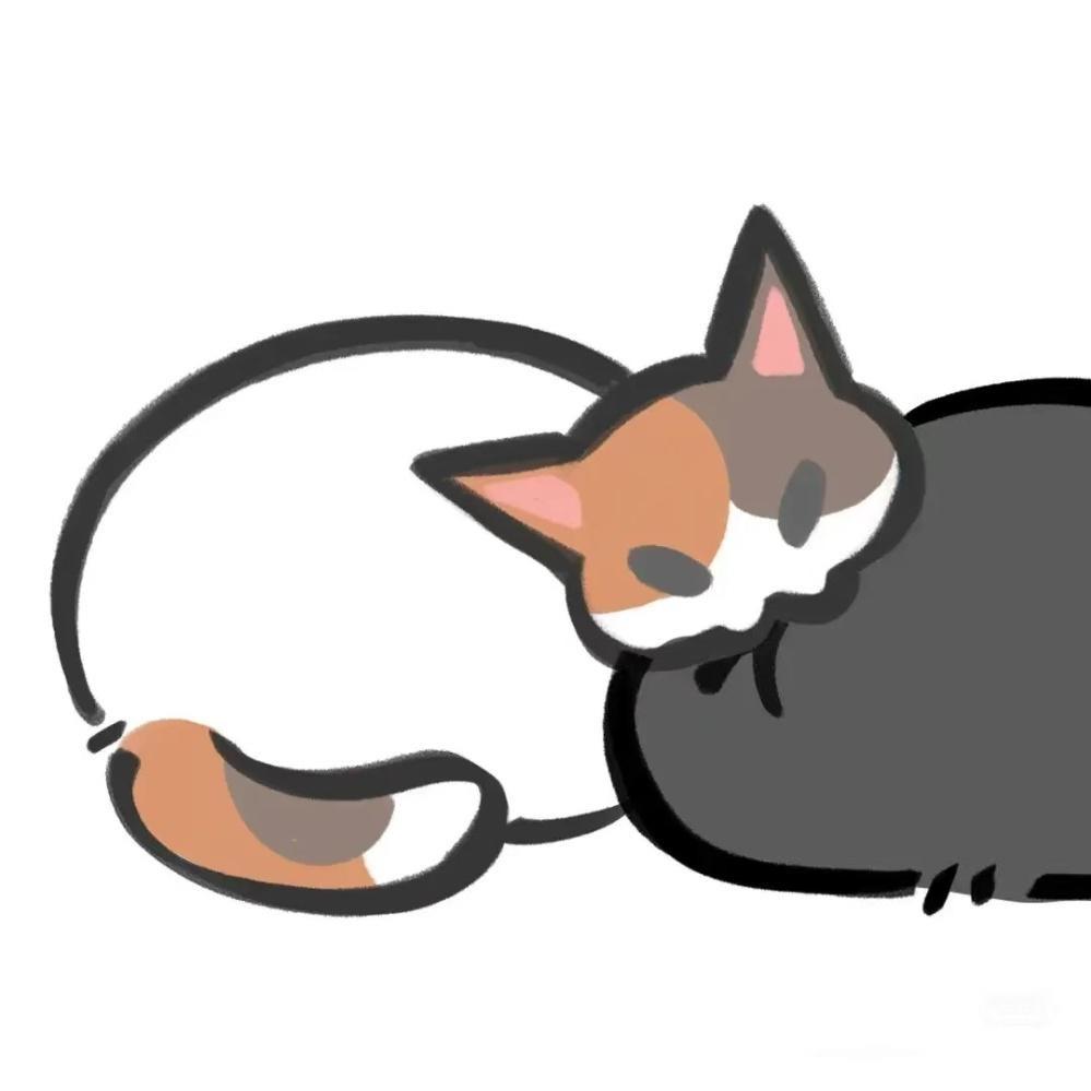 摸鱼灵感菇