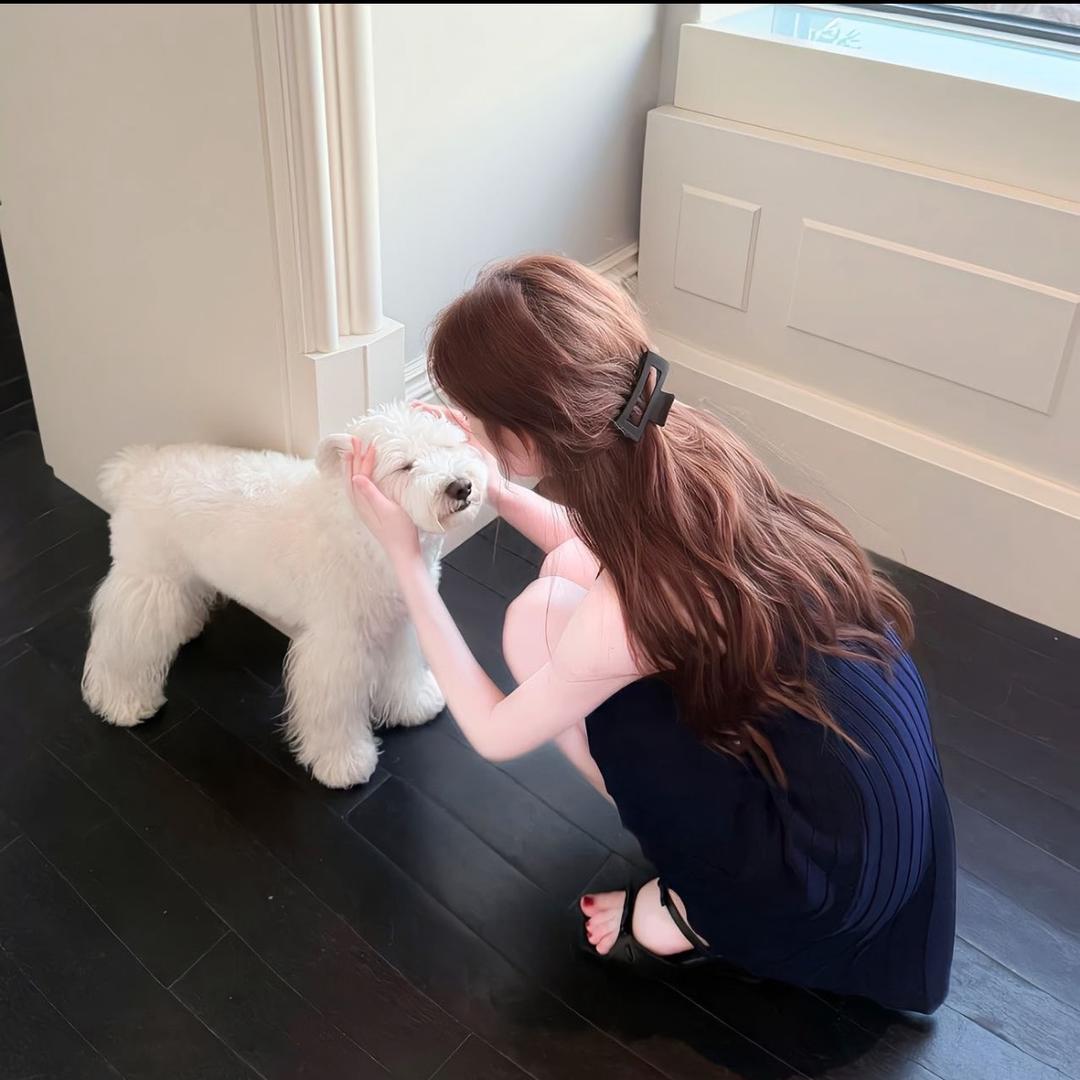 慧