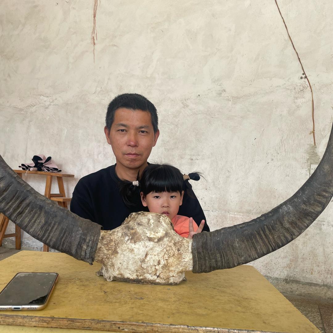 赤壁养牛小峰哥