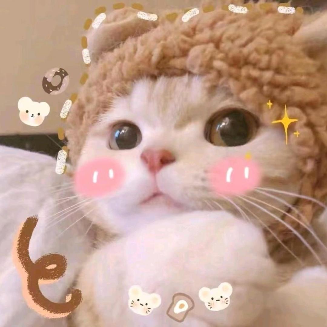 9501大道峥嵘 Tz🖤