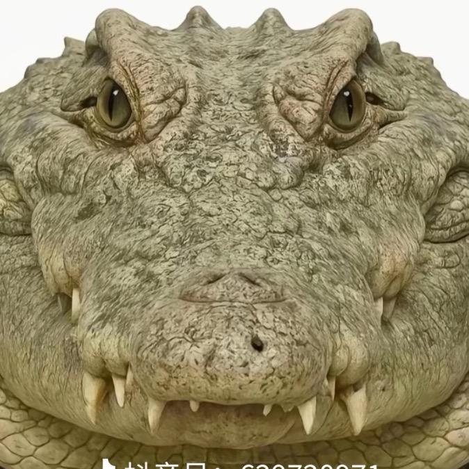 𝓯𝓪𝔃𝓮𝓬𝓵𝓪𝓷.头像