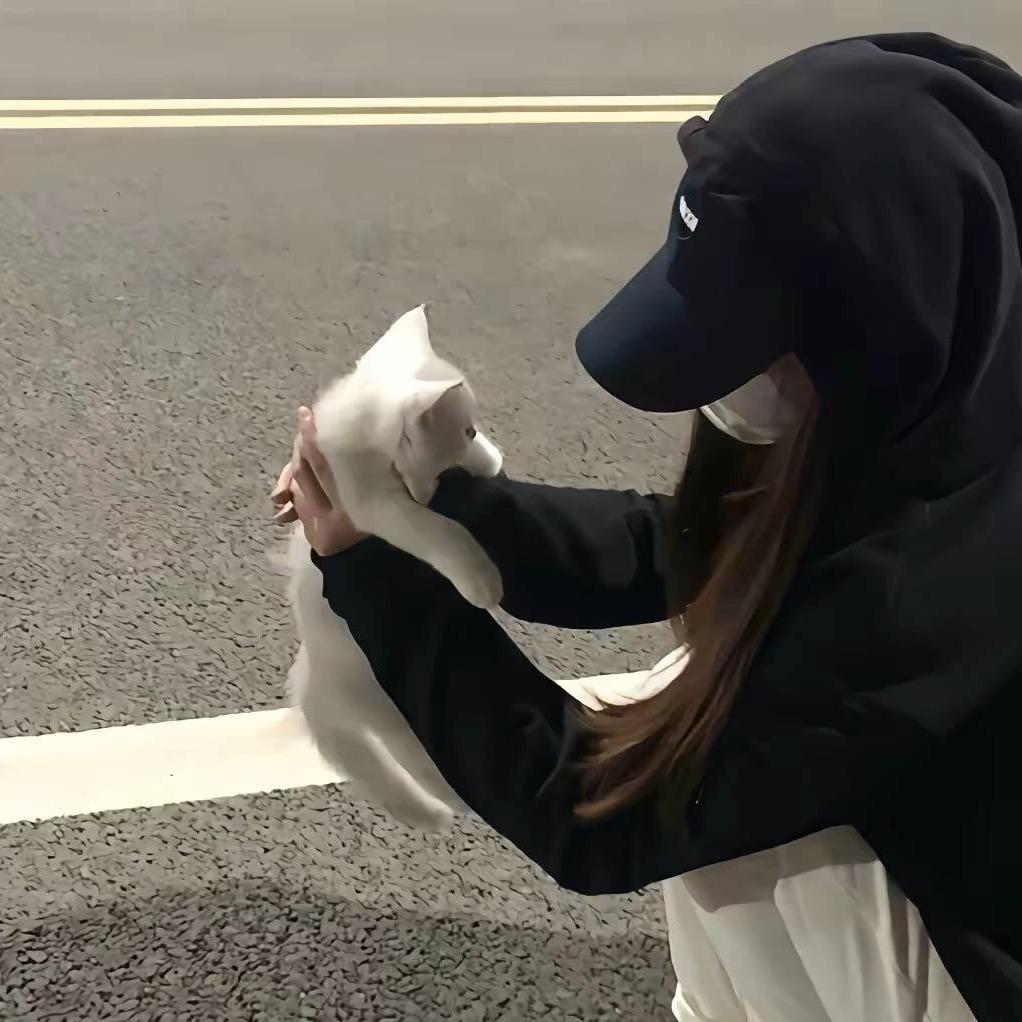 古树🦄️