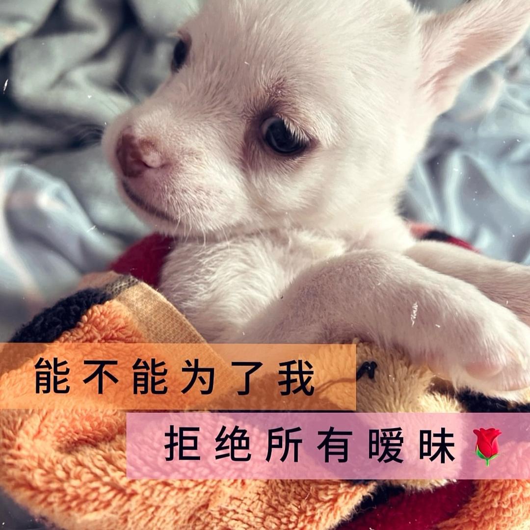 我的世界一直在下雨