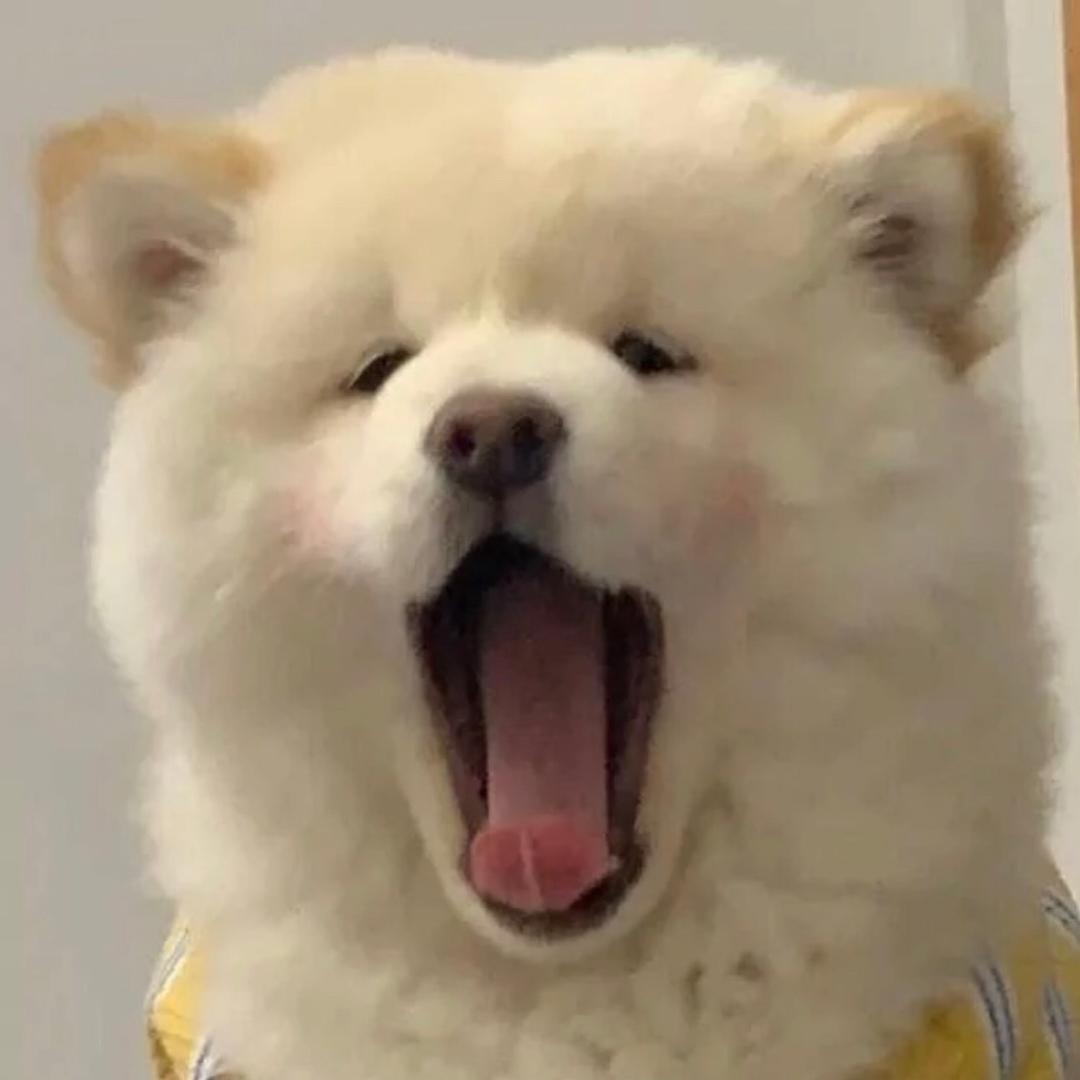 漂流瓶
