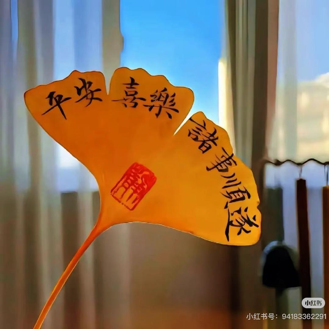好好🤗