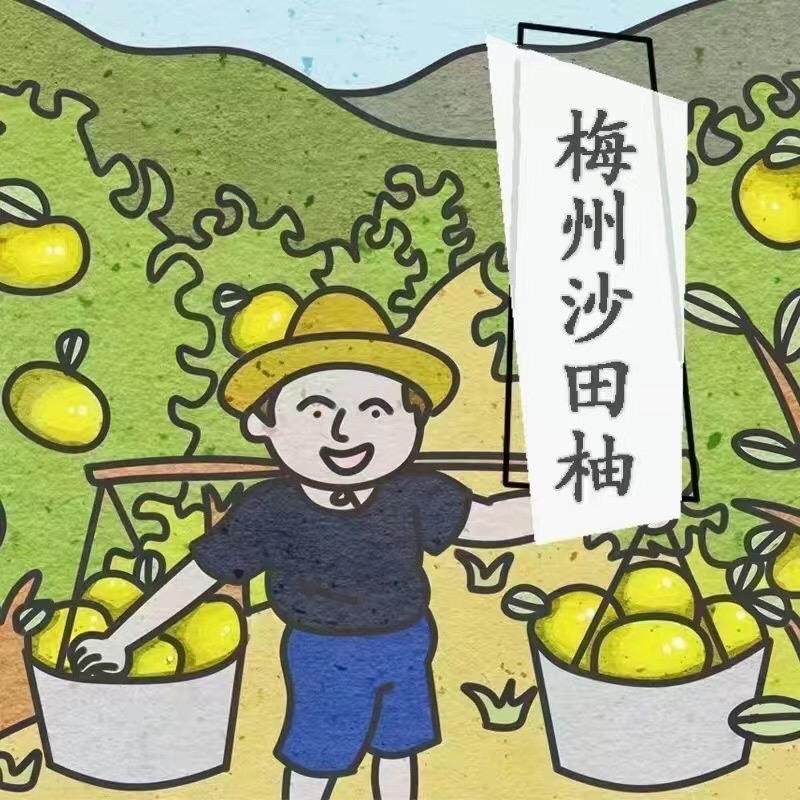 互联网+李家果园