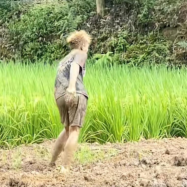 庄叔的调皮小伟