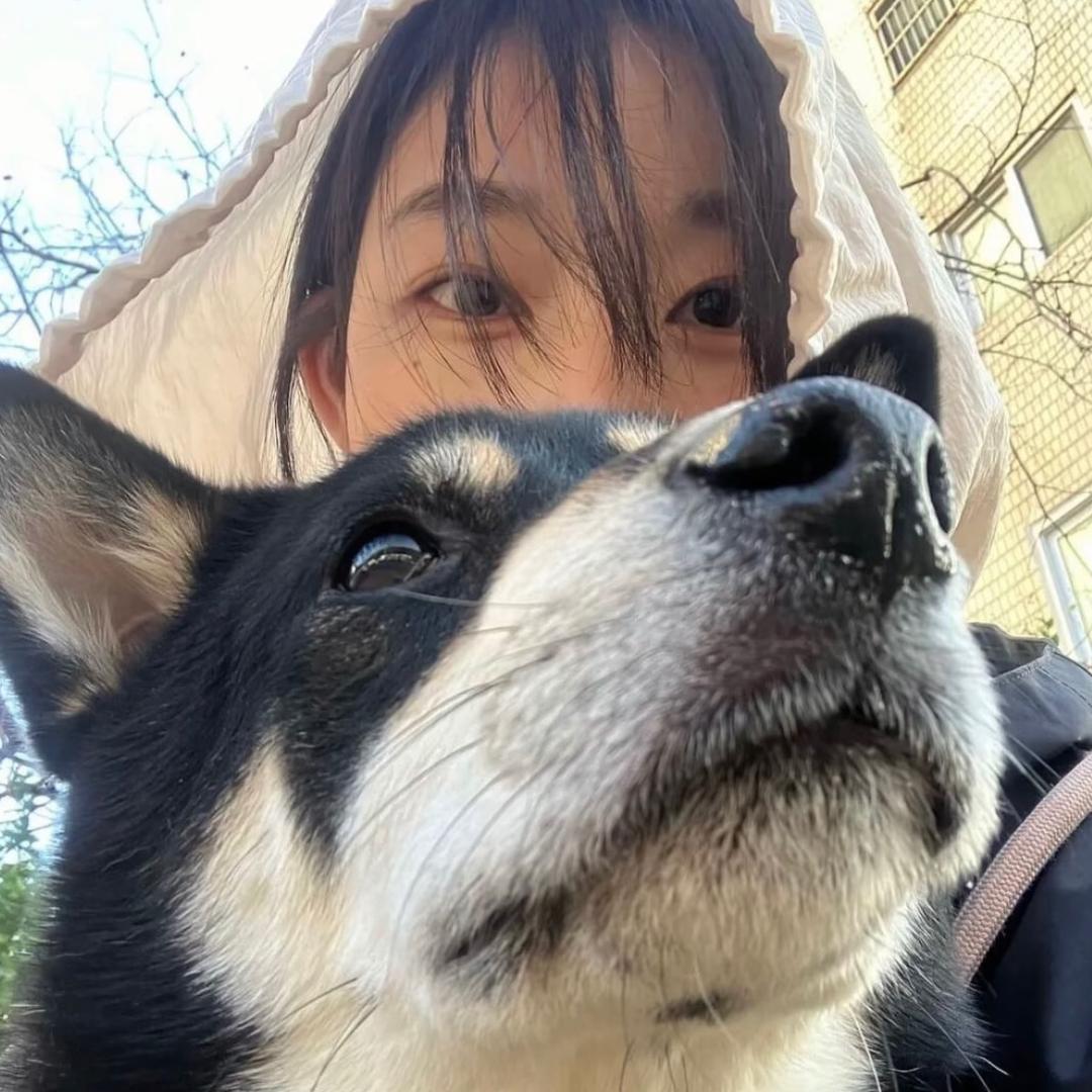 一头灰太狼