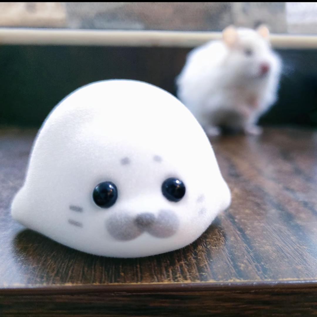 太牛bi