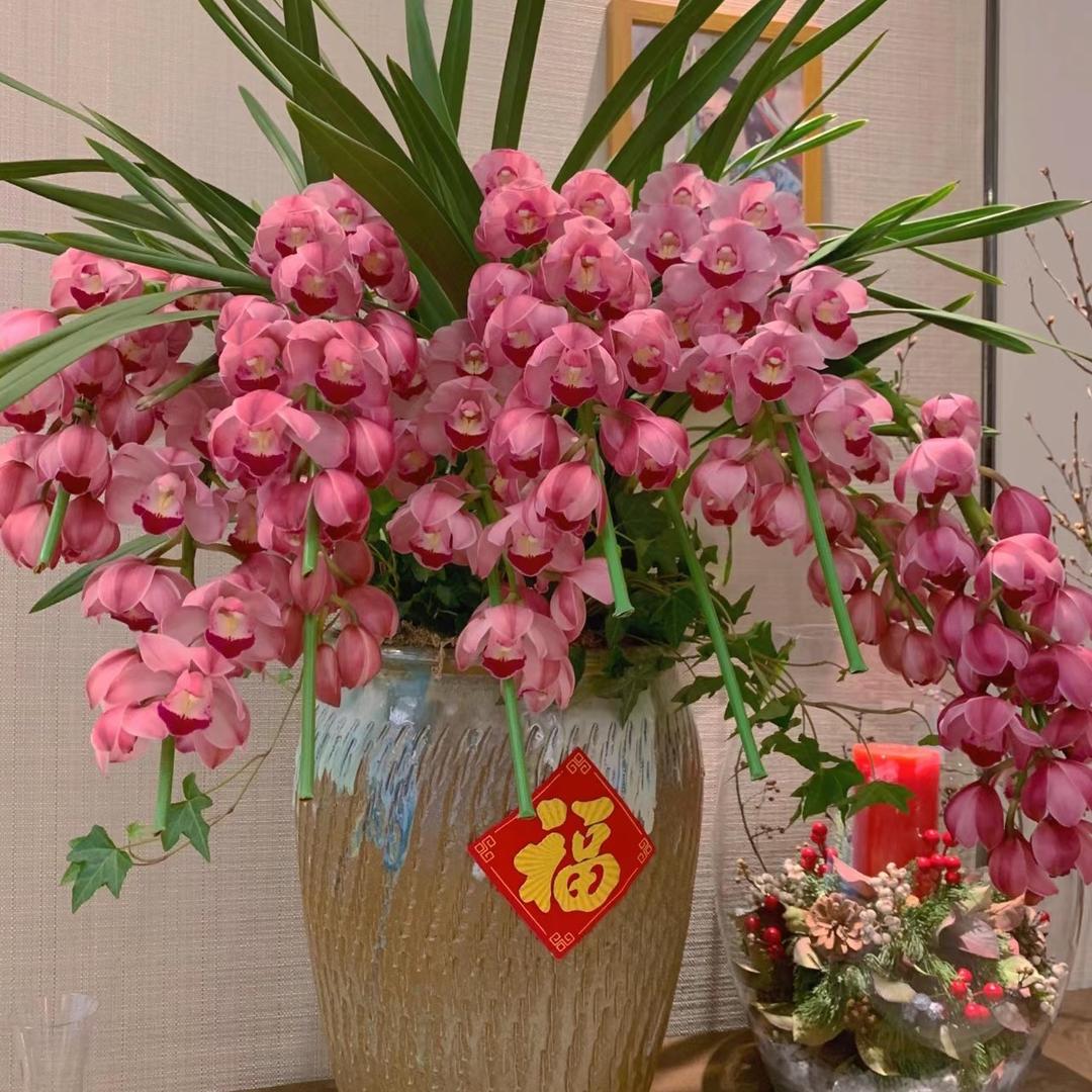 春暖花开88