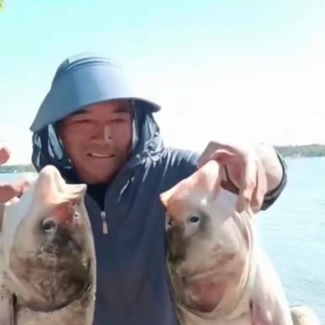 泰拳手