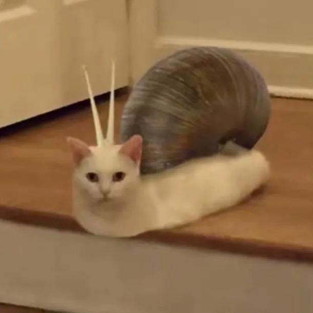 鹰嘴
