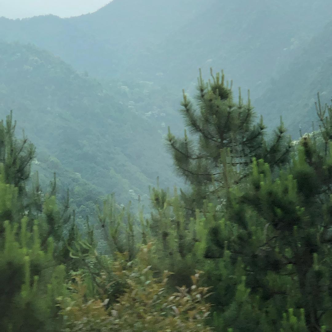 此号注销