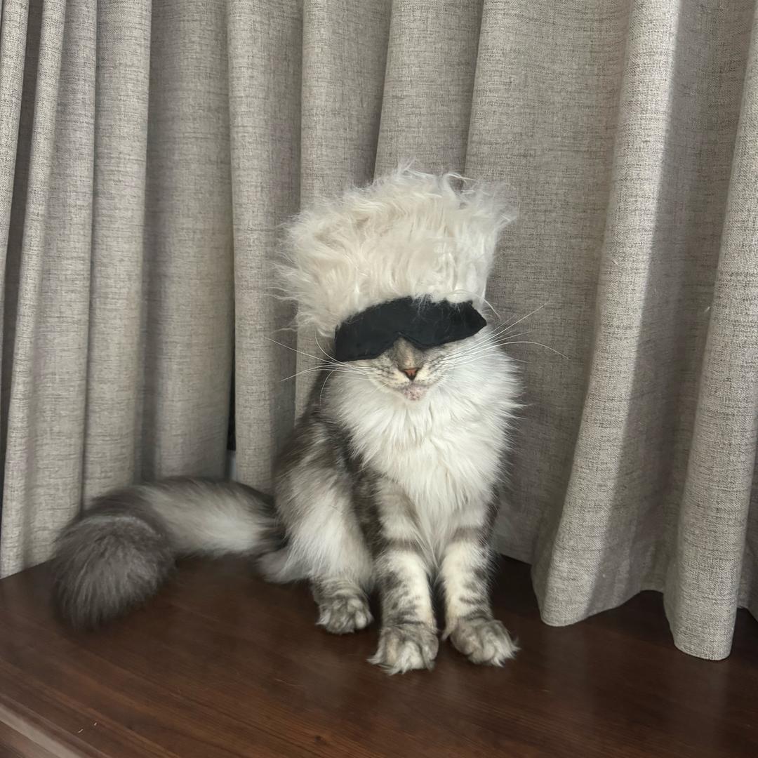 尼克没头脑