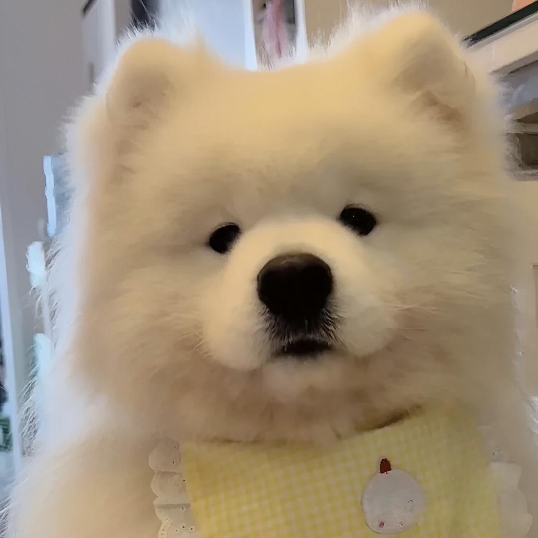 学程书包