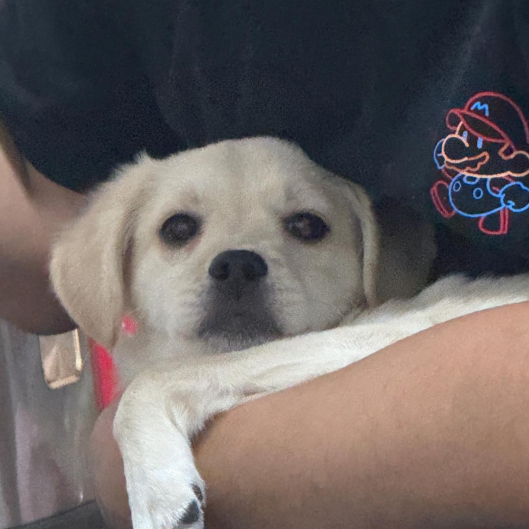 我不能和你说了