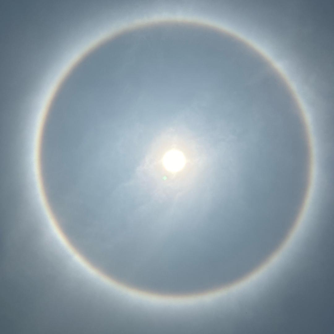 大柒