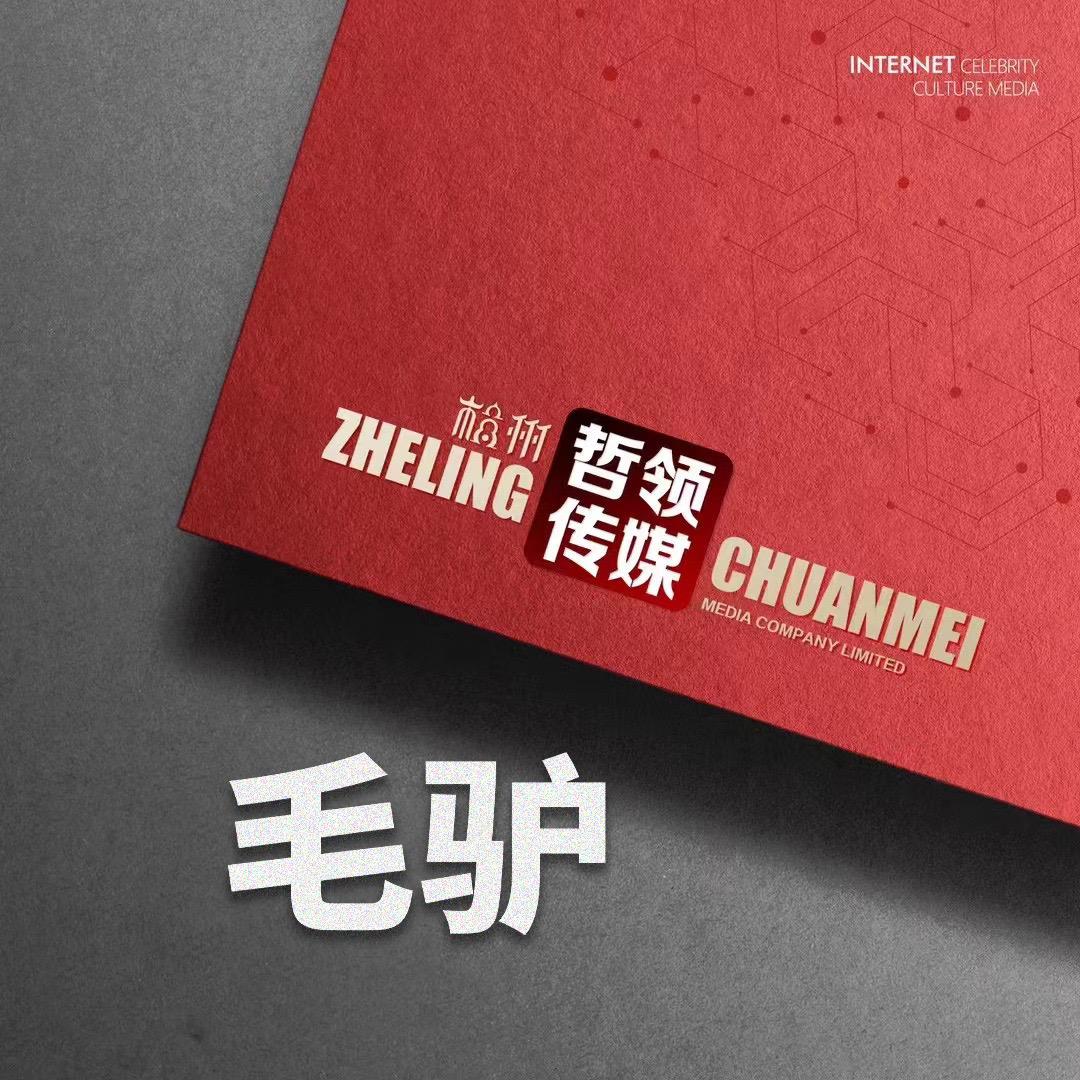 大毛驴²⁹³（哲领）