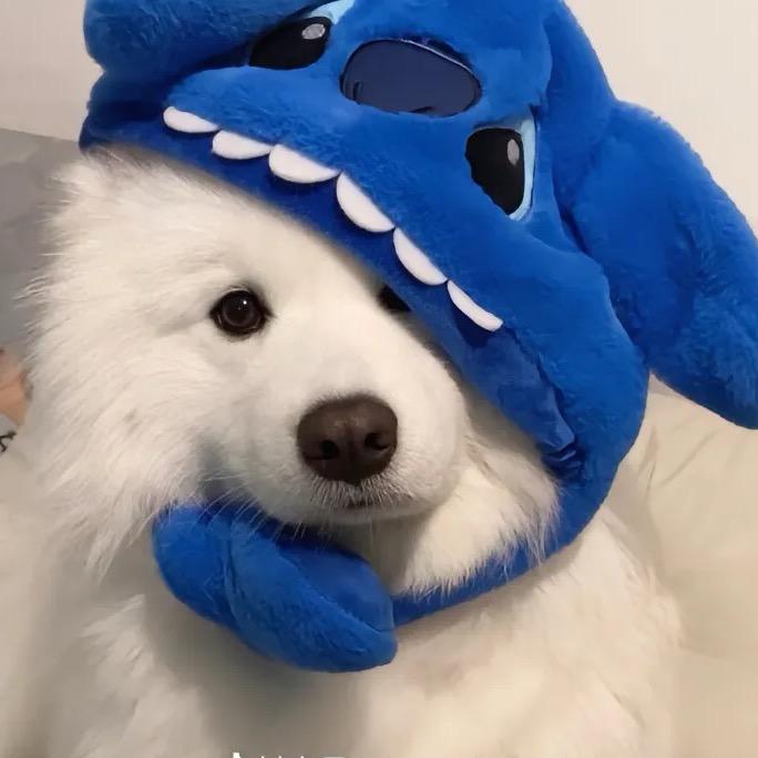 交个朋友轻食店