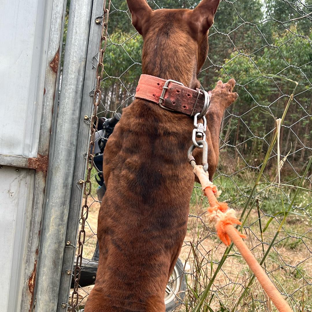 @ℋღ᭄信命࿐不认命ღ᭄