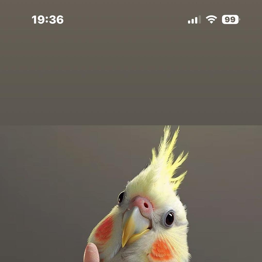 溪溪鹦鹉萌宠