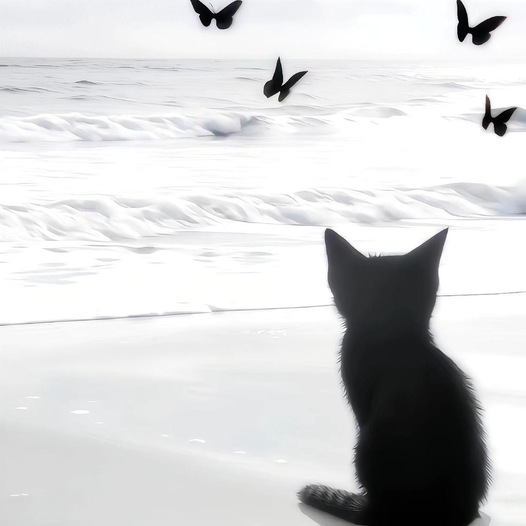 止雨