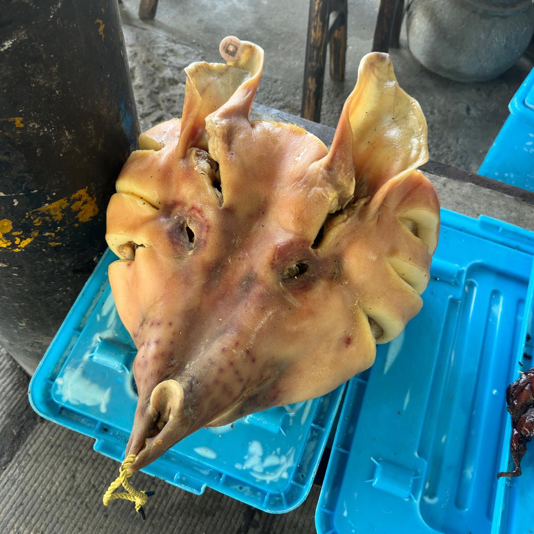 蔷薇
