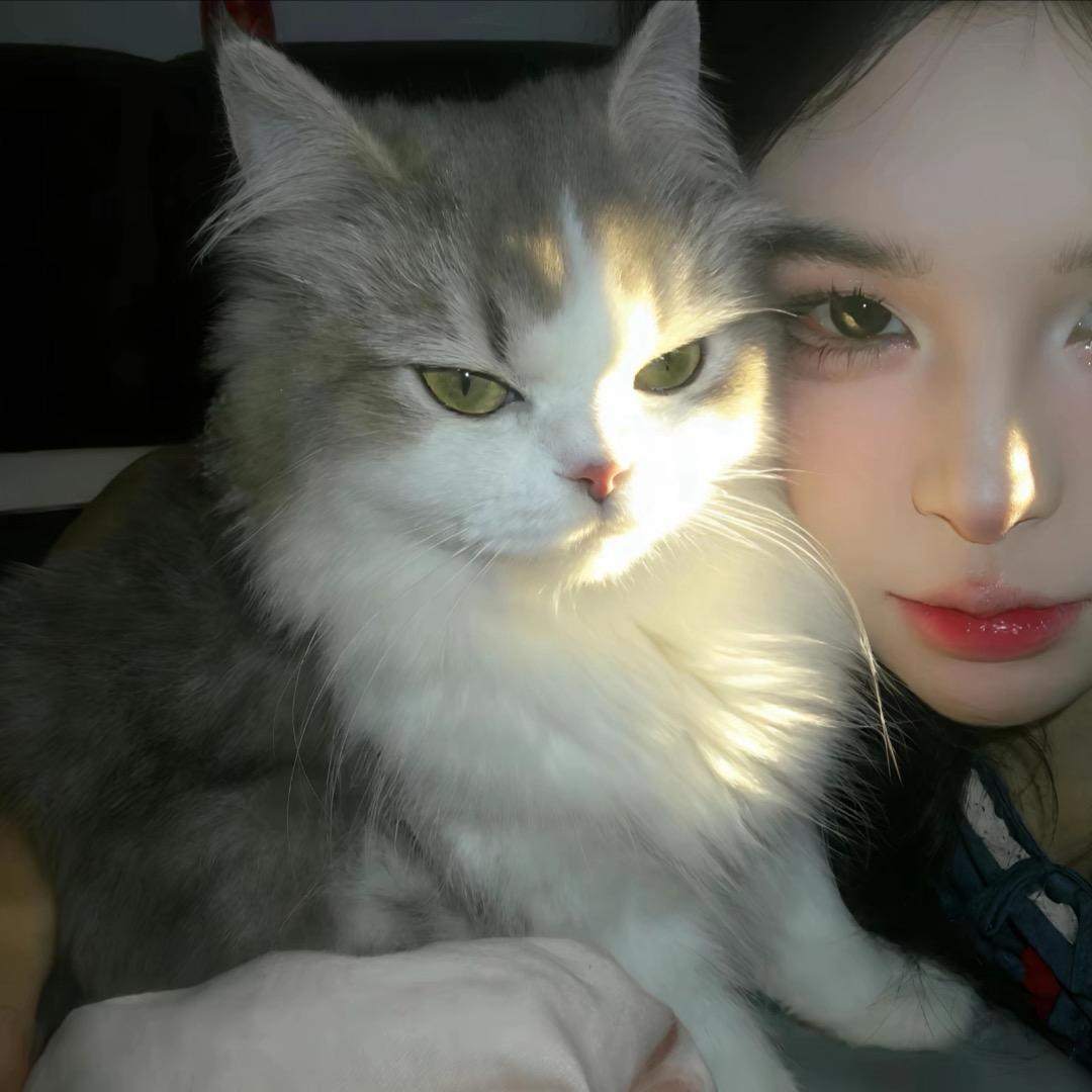 江鱼小丸子