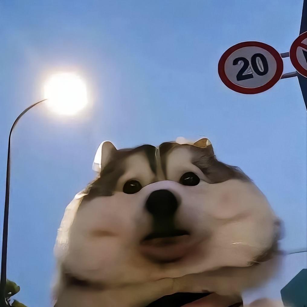 晨
