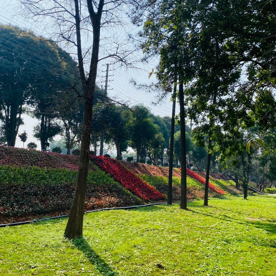 升学指导韦老师（公办学校）