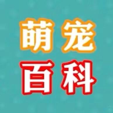 萌宠百科Show