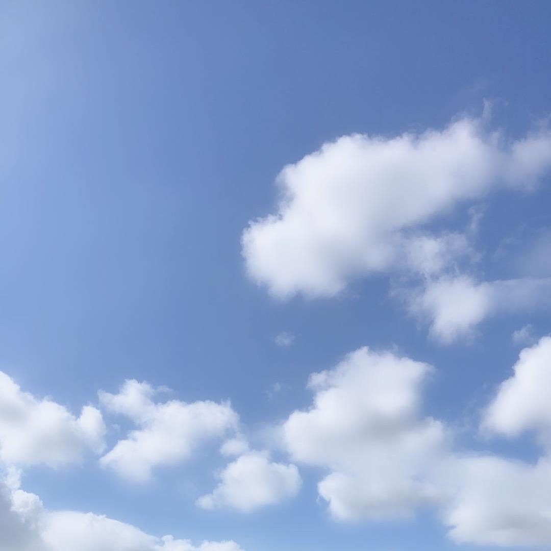 默
