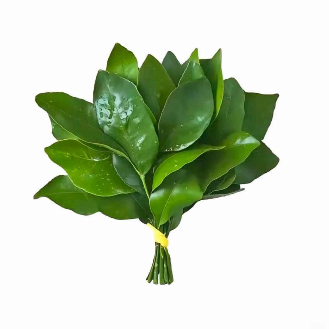 拉屎大王奇妙历险记