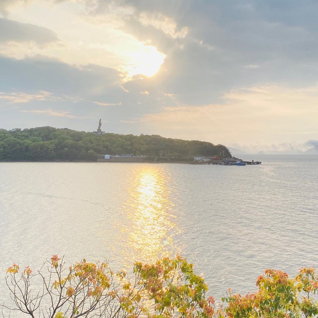 高主任
