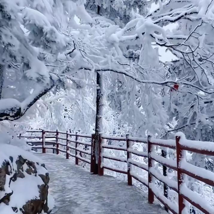 雪落无声❄️
