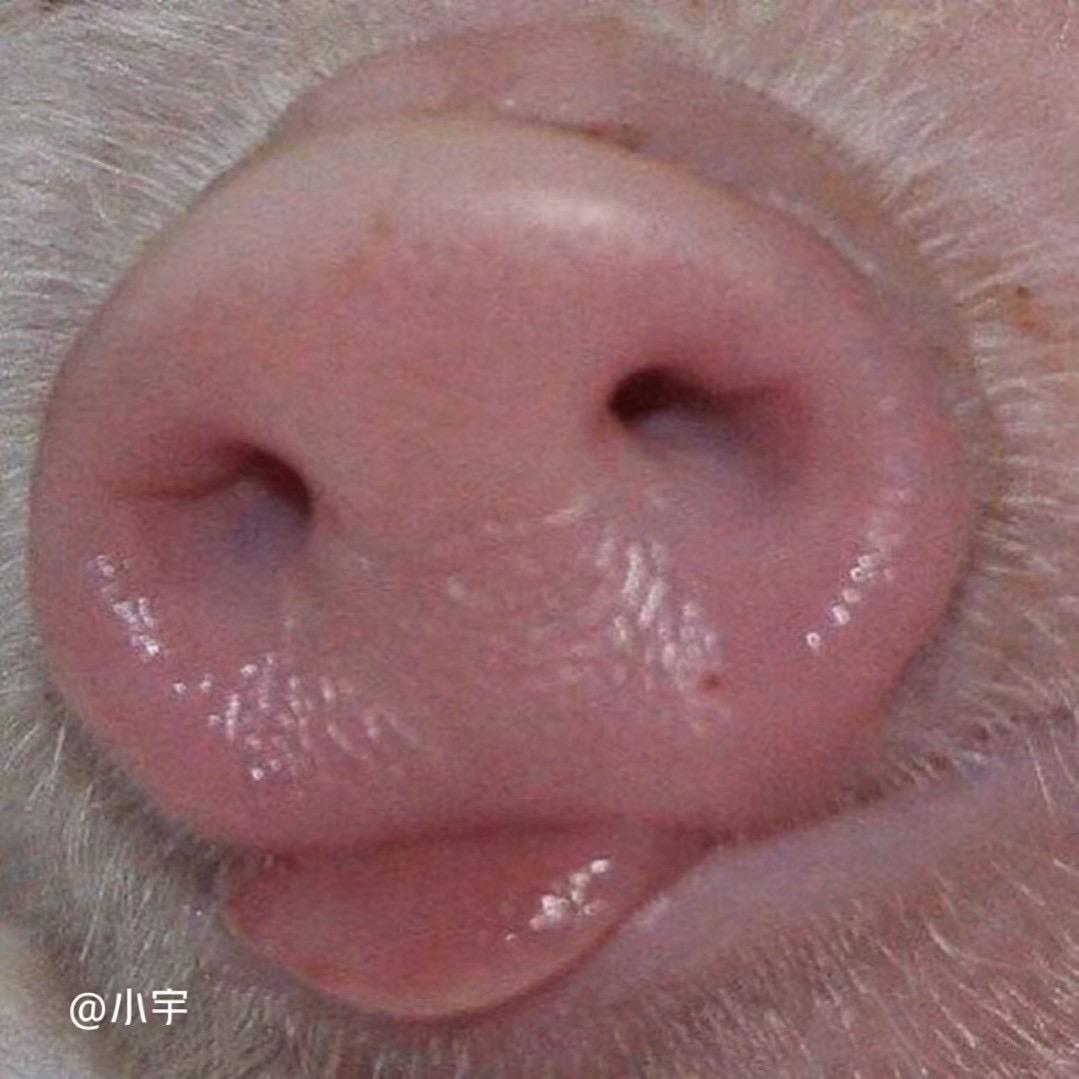 就这
