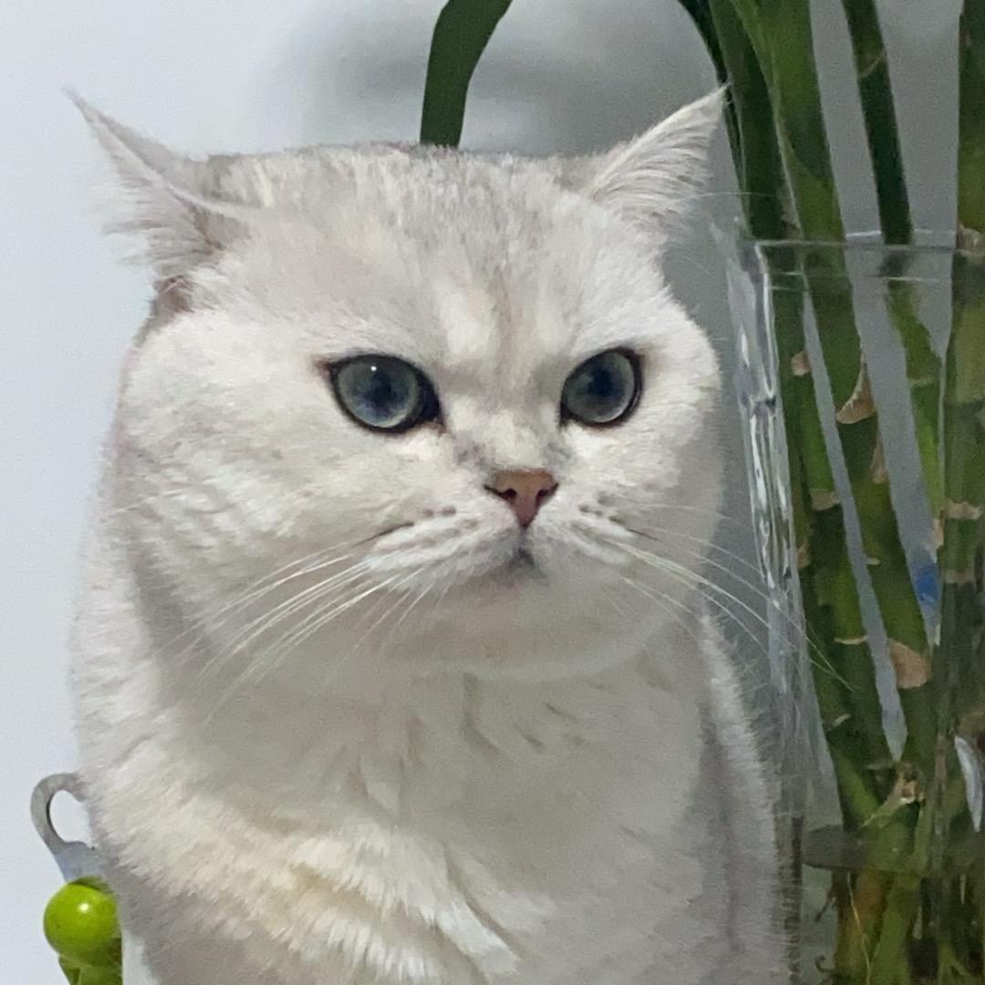 不悔呀