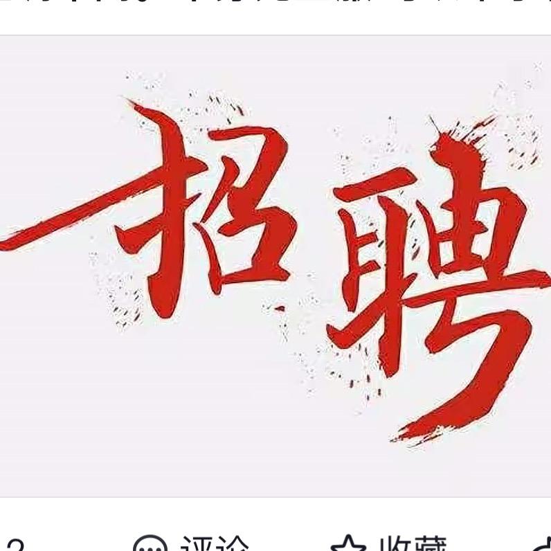 偏偏帮你找工作