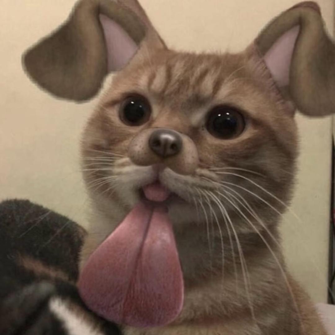 3呆点