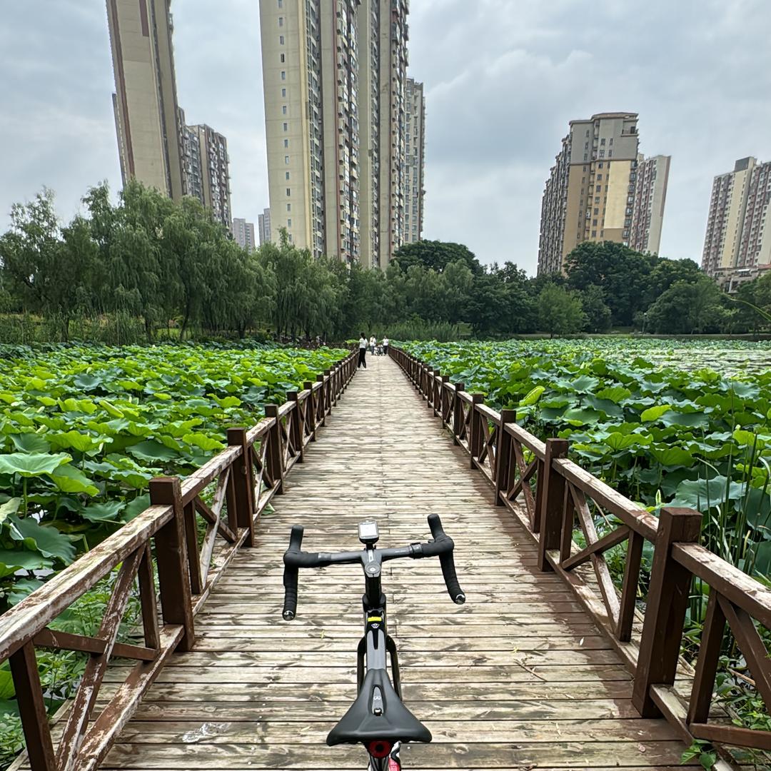 向上而生，顶峰相见