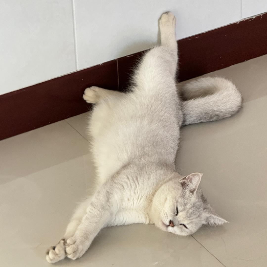 请输入名称